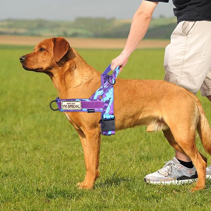 Annchwool No Pull Dog Harness with Soft Padded Handle,Escape Proof and Quick Fit to Adjust Dog Harness,Easy for Training Walking for Small & Medium and Large Dogs(Camo Purple,M)