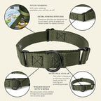 Country Brook Petz - Martingale Dog Collar - Heavy-Duty Training Collar with No Buckle - Service Dog Collar for All Pups - 10+ Cool Colors (Dark Olive Drab, 3/4 Inch, Small)