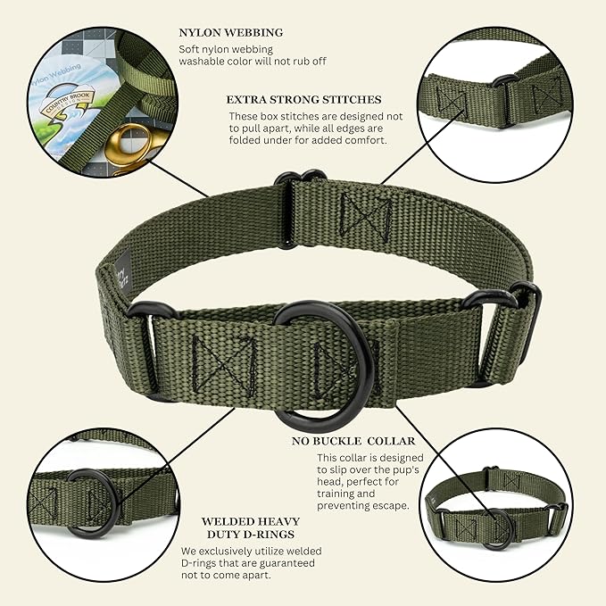 Country Brook Petz - Martingale Dog Collar - Heavy-Duty Training Collar with No Buckle - Service Dog Collar for All Pups - 10+ Cool Colors (Dark Olive Drab, 3/4 Inch, Small)