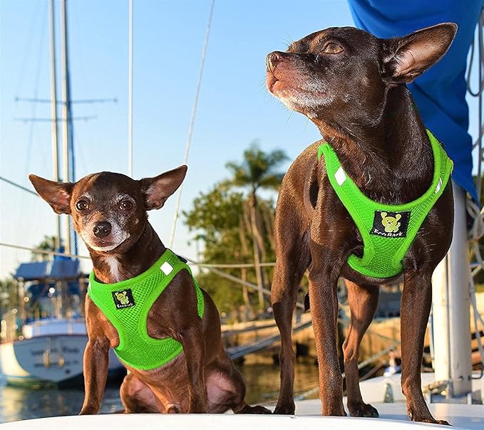 EcoBark Rapid Fastener Super Comfort Fully Adjustable Double Padded Step in Dog Harness (Large, Green)