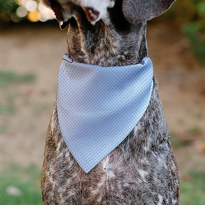 Disney Pet Bandana Lilo and Stitch Stitch Winking Pose and Polka Dots White Blue Slip On Collar Bandana Only