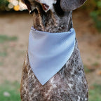 Disney Pet Bandana Lilo and Stitch Stitch Winking Pose and Polka Dots White Blue Slip On Collar Bandana Only