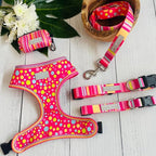 Lucky Love Dog - Easy Click Buckle Dog Collar with Leash Set Combo, Durable & Comfortable for Male & Female Dogs, Pet Collar for Medium Dogs, Secure Fit - Molly Combo, Medium