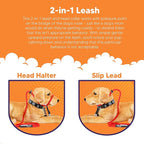 Heather's Heroes The Sidekick No-Pull Leash, Red, Mini