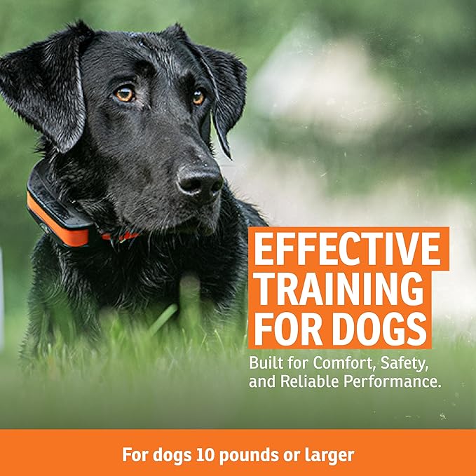 SportDOG Contain + Train System - Creates Secure Play Area - Adjustable Neck Collar - Electric Fence - Durable Fencing - Waterproof - Covers 1 1/3 Acres, 1 Collar