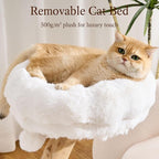 HITTITE Natural Solid Wood Cat Tree Tower with Scratching Post, 32 Inches Tall Modern Cat Tower with Cozy Bed and Platforms, Luxury Real Branch Cat Tree for Indoor Cats Large Adult, White.