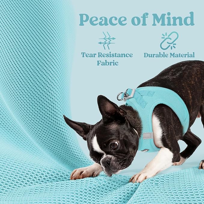rabbitgoo Small Dog Harness, Step-in Soft Mesh Puppy Vest with Safety Buckle, Breathable Reflective Pet Harness for Small Medium Dogs, Mint Blue L