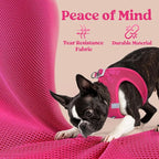 rabbitgoo Small Dog Harness, Step-in Soft Mesh Puppy Vest with Safety Buckle, Breathable Reflective Pet Harness for Small Sized Dogs, Rose Red XS
