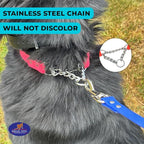 Regal Dog Products Martingale Collar for Dogs - Waterproof Biothane Collar for Small, Medium, Large Dogs - Limited Cinch Heavy Duty Chain for No Pull Dog Walking and Pet Training (Large, Orange)