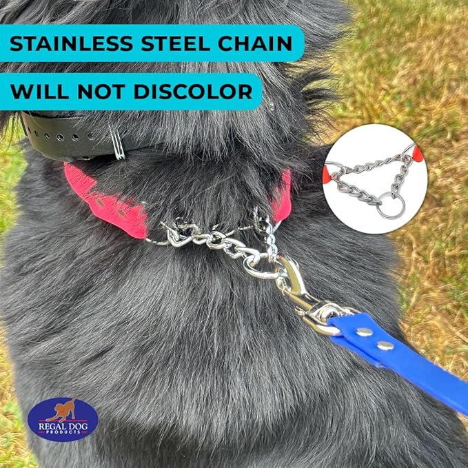 Regal Dog Products Martingale Collar for Dogs - Waterproof Biothane Collar for Small, Medium, Large Dogs - Limited Cinch Heavy Duty Chain for No Pull Dog Walking and Pet Training (Small, Pink)