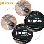 Julius-K9, 16IDC-B-MM, IDC Powerharness, Dog Harness, Size: Mini-Mini, Blue