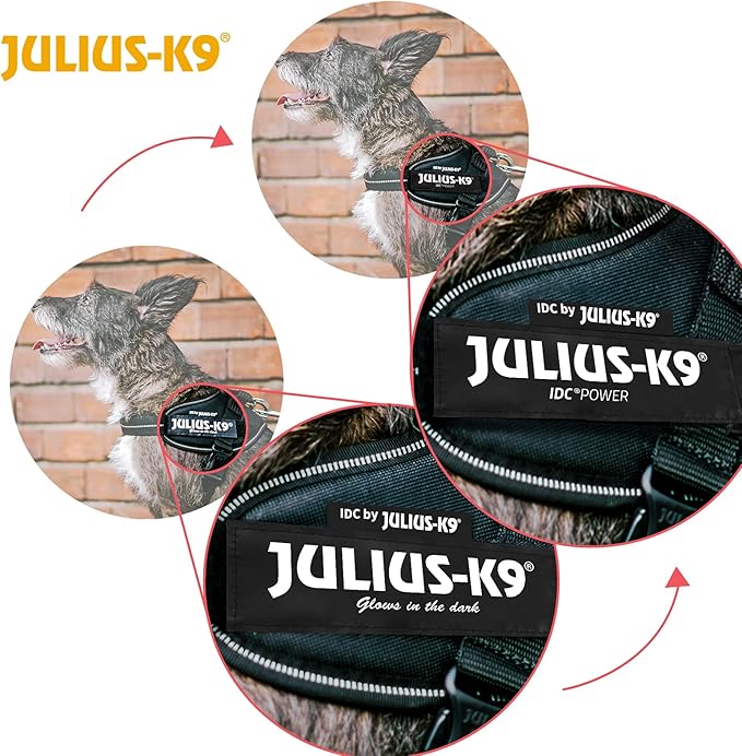 Julius-K9, 16IDC-PN-2, IDC Powerharness, Dog Harness, Size: 2, Pink