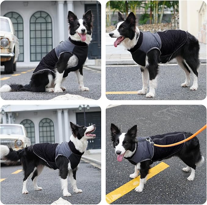 Warm Fleece Dog Coats for Small Dogs,D-Rings Waterproof Puppy Jacket for Cold Winter,Black S