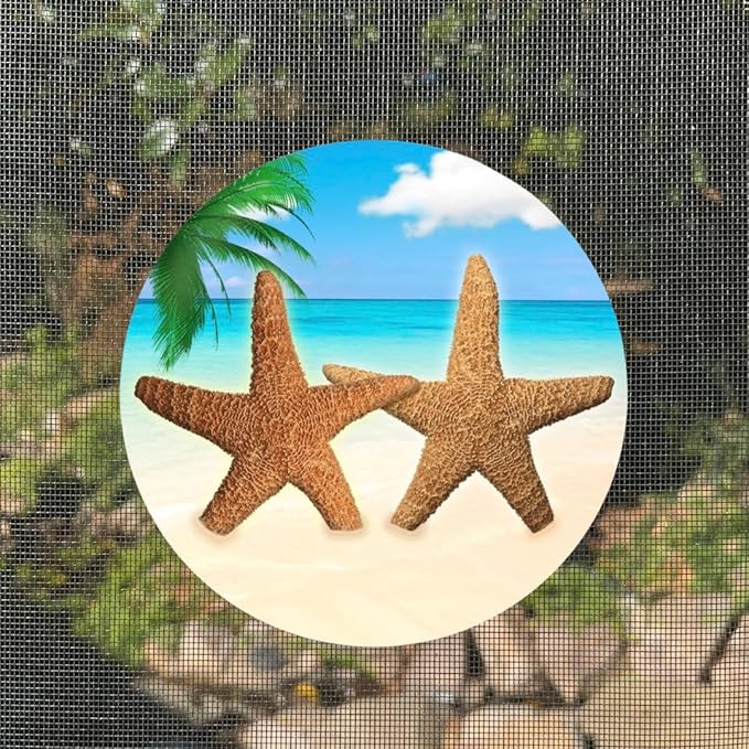 Screen Door Magnets Double Sided – Keep People, Kids, and Dogs from Running into The Screen Door - Robbins Aria Star Fish