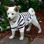 Pet Dog Striped T-Shirt Dogs Cats Cotton Vest Spring Summer Pet Apparel Tee Shirt Suitable for Small and Medium Large Pets French Bulldog Bichon