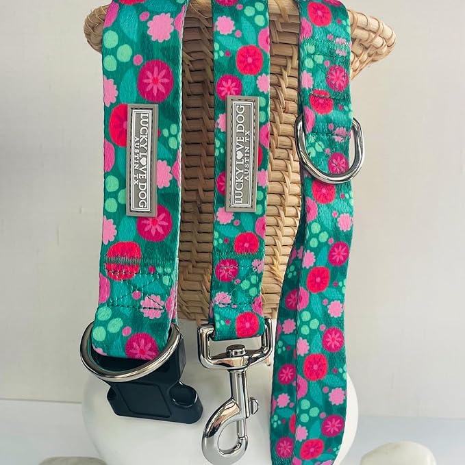 Lucky Love Dog Martingale Dog Collar & Leash - Adjustable, No-Slip, Durable, Comfortable, Soft Webbing, & Stylish Patterned Collar & Leash Set for Male and Female Dogs - Penny Combo, Small