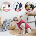 SCENEREAL Winter Vest Coat With Harness Built-In, Warm Jacket for Small Medium Dogs, Cold Weather Coat With Zipper, Fleece Puffer Vest Windproof Snow Clothes for Puppy Pet