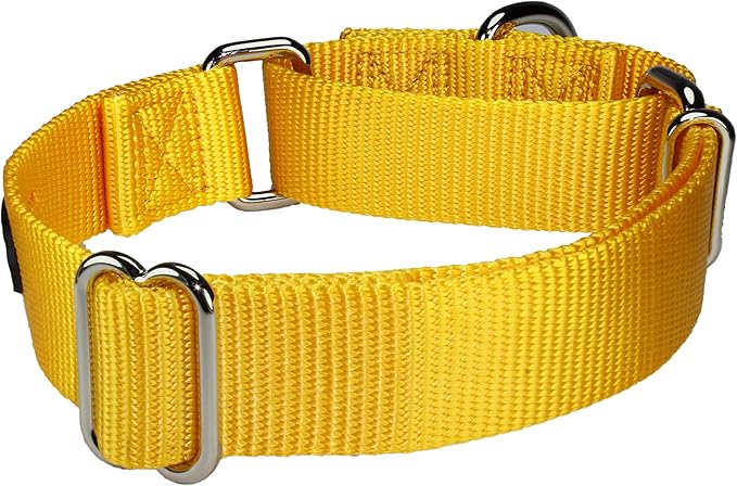 Mikivery Martingale Dog Collar Nylon Adjustable and Safety Training Colourful Comfortable Metal Buckle Pet Collars for Small Medium and Large Dogs(Yellowe,L)
