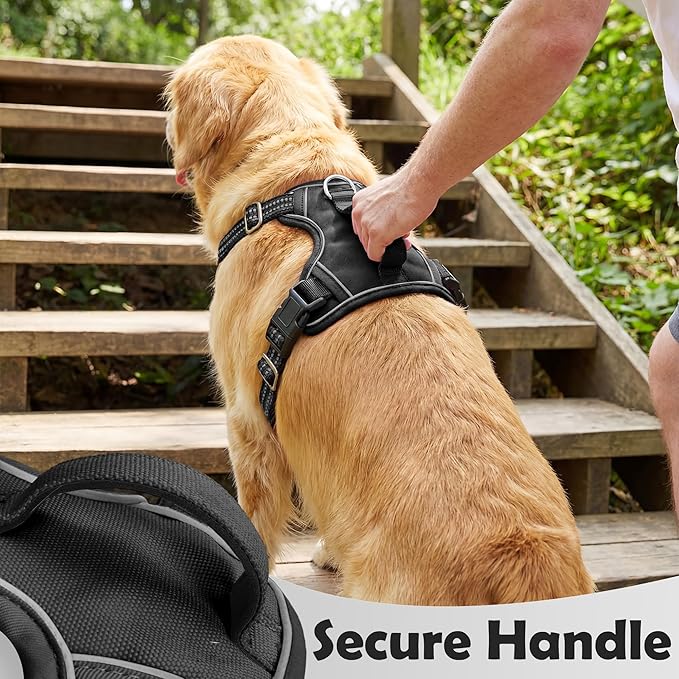 Funfox Dog Harness Small Sized Dog, Vertical Handle Easy Control, No Pull Pet Vest Adjustable with 2 Leash Clips, Soft Material, Reflective Safe Night Walking for Small Medium Large Breed, Black, S