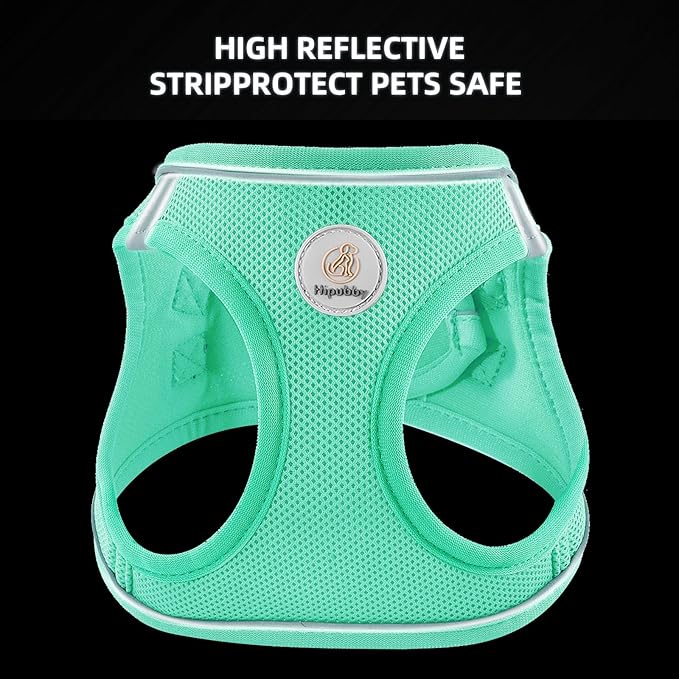 Hipubby Dog Harness and Leash Set, No Pull Soft Mesh Puppy Harness for Small Medium Dogs, Cats - Step in Reflective Breathable Lightweight Vest Harness for Walking, Training - Green, S