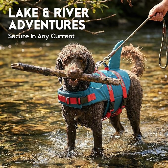 ASENKU Dog Life Jacket - Pet Safety Vest for Swimming & Boating, Shark Life Jacket with Floatation, Dog Lifesavers Swimsuits for Small Medium Large Dogs (ForestGreen, M)