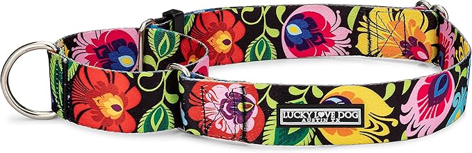 Lucky Love Dog Wide Martingale Dog Collar - No-Slip, Durable, & Soft Webbing 1.5 inch Martingale Collar for Dogs Male and Female Ideal for Training & Walking - Blackbird, Large
