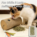 Mini Cat Scratcher & Toy - 7.87" Compact Scratching Post with Rolling Ball, Perfect for Kittens & Small Cats
