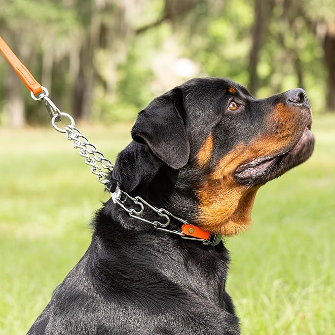 Herm Sprenger Chrome Plated Steel Dog Collar with Quick Release ClicLock Buckle O-Ring Biothane Insert Training Collar Made in Germany (Hunter Orange, 25in x 4.0mm(Neck Size up to21-22in))