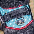 Dog Harness with Patch Panels, No Choke, Reflective, Adjustable, Soft Padded Dog Vest Harness with Easy Control Handle for Small Size Dog, Light Blue, S