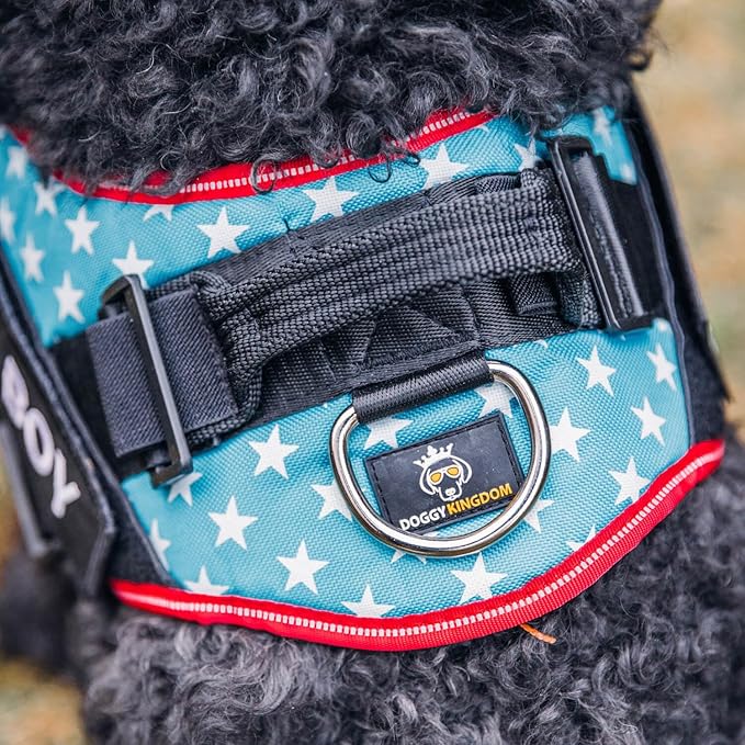 Dog Harness with Patch Panels, No Choke, Reflective, Adjustable, Soft Padded Dog Vest Harness with Easy Control Handle for Large Dogs, Motorsport, 2XL