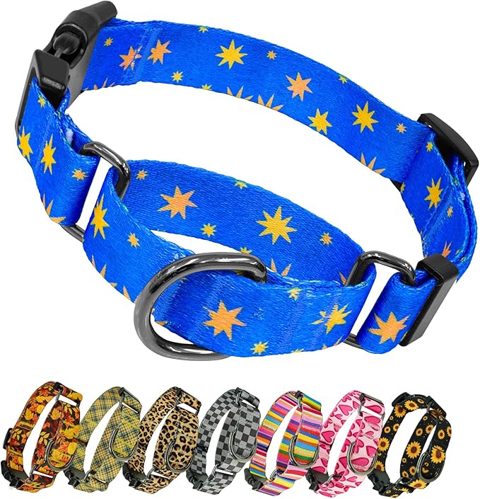 Kazazoo Martingale Collar for Dogs with Quick Release Buckle Adjustable Soft Durable Dog Collar for Small Medium Large No Pull Training Dog Collars-Blue Sky M