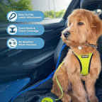 Best Pet Supplies Voyager Step-in Air All Weather Mesh Harness and Reflective Dog 5 ft Leash Combo with Neoprene Handle, for Small, Medium and Large Breed Puppies - Lime/Black Trim, Medium