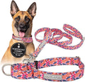 Lucky Love Dog Martingale Dog Collar & Leash - Adjustable, No-Slip, Durable, Comfortable, Soft Webbing, & Stylish Patterned Collar & Leash Set for Male and Female Dogs - Rosie Combo, Large