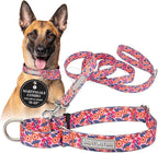 Lucky Love Dog Martingale Dog Collar & Leash - Adjustable, No-Slip, Durable, Comfortable, Soft Webbing, & Stylish Patterned Collar & Leash Set for Male and Female Dogs - Rosie Combo, Large