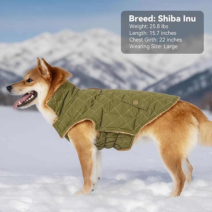 Dog Winter Coat, Warm Dog Jacket Windproof Waterproof Pet Cold Weather Coats for Small Dogs, Turtleneck Fleece Lined Dogs Clothes with Leash Hole, Green Medium