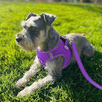 Joytale Small Dog Harness, Breathable Mesh Step-in Vest, Reflective Soft Padded Harnesses Small Sized Dog for Walking, Purple, S