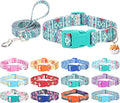 Dog Collar with Leash Airtag Holder Case Set - Dog Collars for Male Female Boy Girl Puppy X-Small Small Medium Large Dogs Walking Running Training - Maya/L