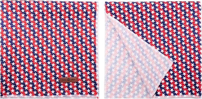 Lionet Paws Dog Bandana,4th of July Fabric Dogs Kerchief for Small Medium Dogs,Dog Cotton Triangle Bibs Scarf for Girl Boy