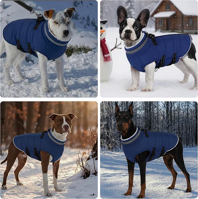 Mklhgty Medium Dog Coat with Harness Built-in, Waterproof Reflective Fleece Lined - Warm Windproof Winter Jacket with Back Zipper, Cold Weather Snow Dog Coats - Blue - M