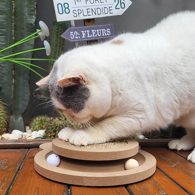 Cute Cat Scratcher,Interactive Scratcher Toys for Indoor Cats and Kitten Natural Sisal Cat Scratch Mats Track Balls Spring Toy,for Bored Cats self Play