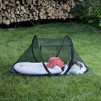 Cat Tent Outdoor, Pet Enclosure Tent Suitable for Cats and Small Animals, Indoor Playpen Portable Exercise Tent with Carry Bag（Black）