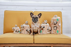 Outward Hound Hide-A-Squirrel Dog Toy – Interactive 2‑in‑1 Plush Puzzle with 3 Squeaky Removable Squirrels, Medium