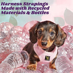 EcoBark Premium Quality Dog Harness - Teacup Dog Harnesses - Step in Halter Vest - Eco-Friendly Luxury Soft Mesh Halter - No Pull Mini Chest Body Collar - for Puppy & Toy Breeds (XXS, Baby Pink)