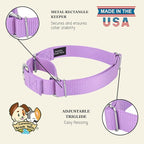 Country Brook Petz - Martingale Dog Collar - Heavy-Duty Training Collar with No Buckle - Service Dog Collar for All Pups - 10+ Cool Colors (Lavender, 1 Inch, Extra Large)