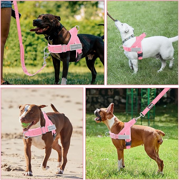 SlowTon No Pull Dog Harness - Heavy Duty Dog Harness and Leash Set for Medium Large Dogs, Reflective Tactical Harness with Soft Padded and Front Clip for Easy Walk and Training (PI, S)