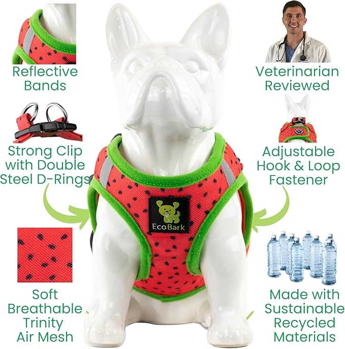 EcoBark Small Dog Harness - Luxury Soft Step in Reflective Ultra Padded Mesh Dog Harnesses for Toy Breed Dogs - Comfortable & Secure Body Halter Pet Vest (Small, Watermelon)