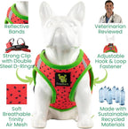 EcoBark Small Dog Harness - Luxury Soft Step in Reflective Ultra Padded Mesh Dog Harnesses for Toy Breed Dogs - Comfortable & Secure Body Halter Pet Vest (Small, Watermelon)