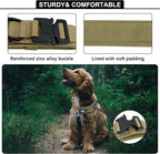 Tactical AirTag Dog Collar Leash Set - Heavy Duty, Adjustable GPS Collar Compatible with Apple AirTag, with Holder & Control Handle for Medium/Large Dogs [ Brown, L ]