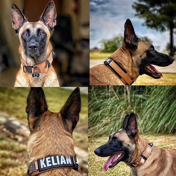 2-Inch Wide Tactical Dog Collar with Control Handle, Adjustable for Medium & Large Dogs, Military Style with Heavy-Duty Metal Buckle, USA Flag Patch & Customizable Name Plate, Training & Everyday Use