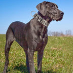 1.5 Inches Martingale Collar for XL Dogs,Wide Adjustable Heavy Duty Training Collars with Leopard Pattern,No Slip Dog Collar Perfect for Training,Walking, Hunting(Leopard XL)